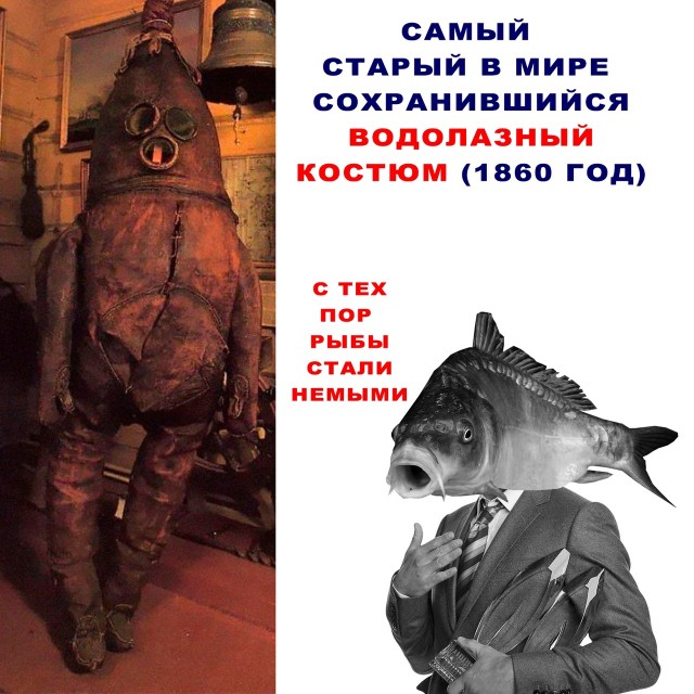 Весёлый полтишок 15.02.23