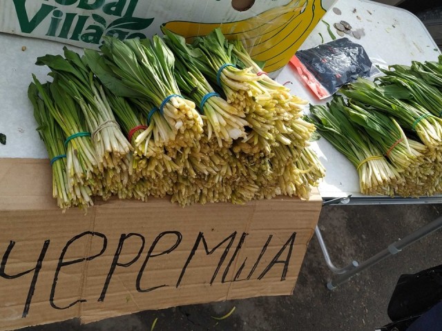 Это Россия