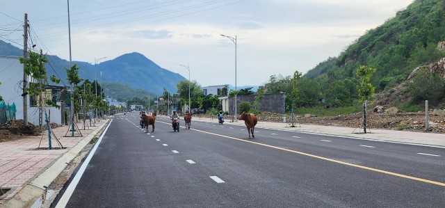 Не туристический Nha Trang