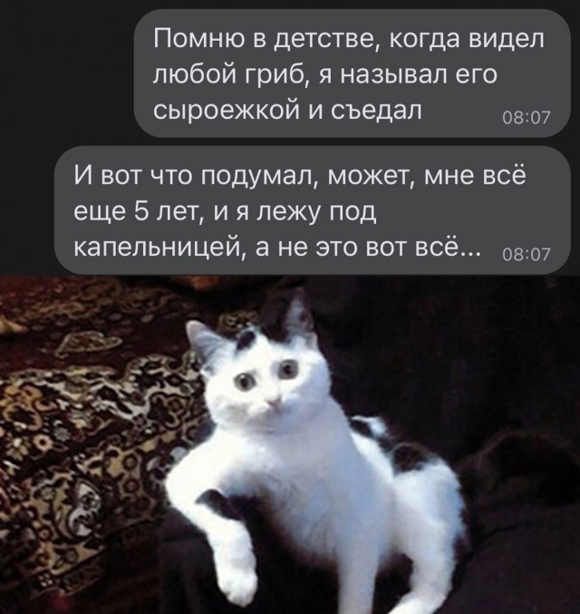 Так себе картинки 20.07.23