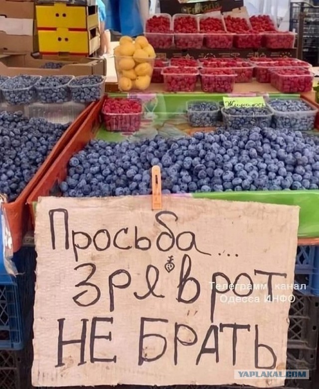 Жена собралась разводиться! Часть 2