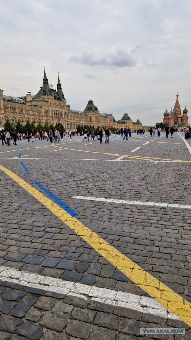 В Москве задержали пенсионера с сине-желтым букетом