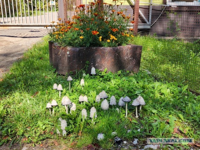 Природа. Урал