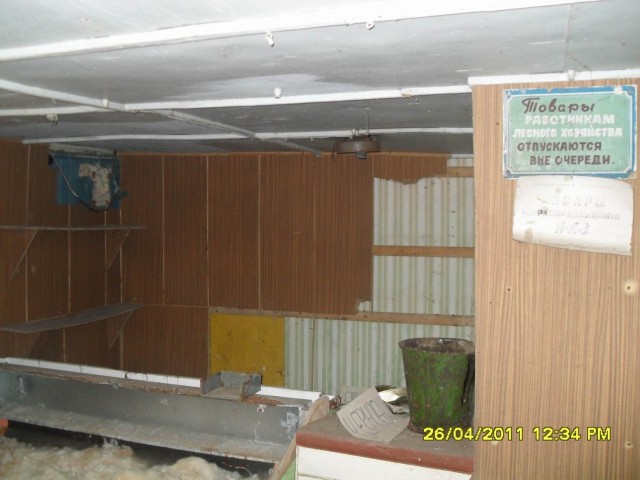 Чернобыль 2011