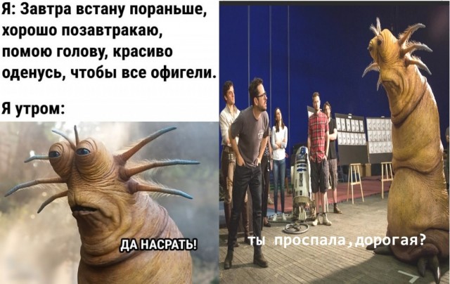 Так себе картинки 28.10.23