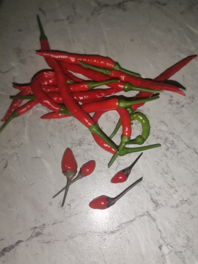 Хабанеро поспел