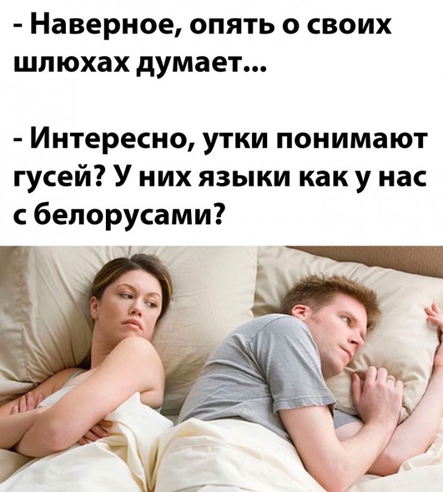 Весёлый полтишок 19.11.23