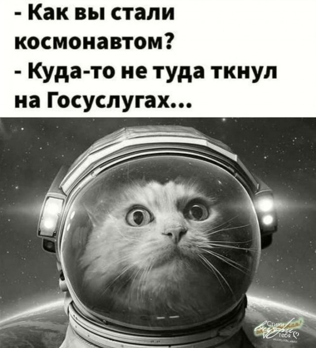 Кот и лампа.