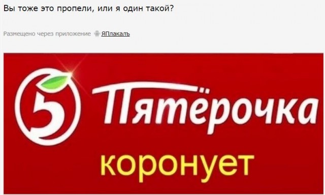 Весёлый полтишок 11.01.23