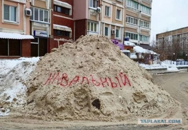 Навальный в ответ на вопрос, что делать, если его убьют