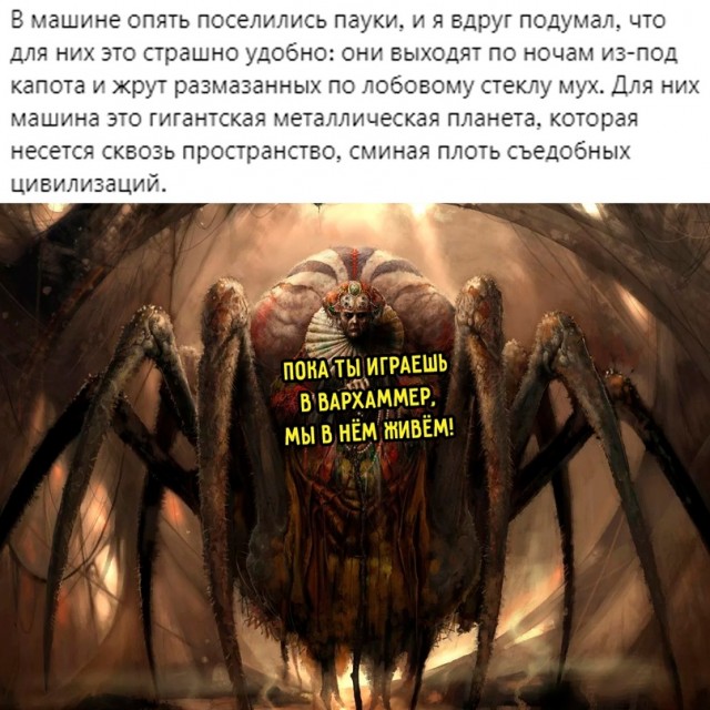 19046763.jpg