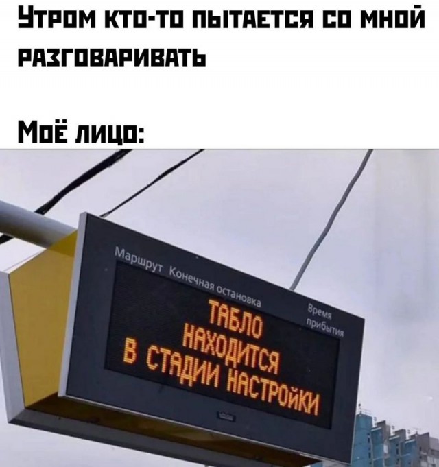 19081763.jpg