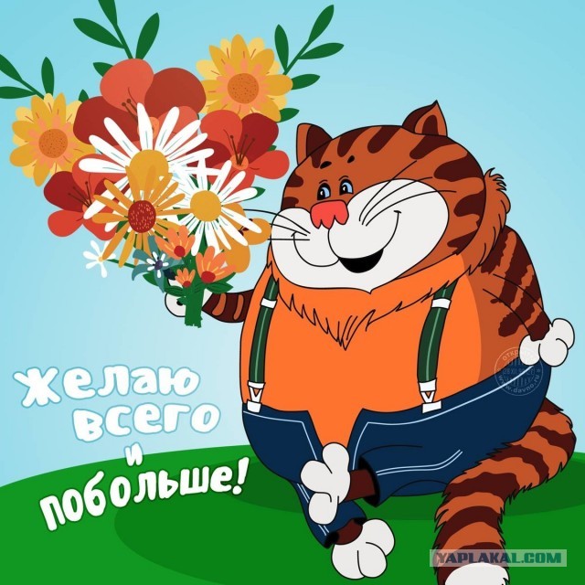 ⚡ ЯП, с Днем Рождения! С юбилеем! 20 лет ЯПу!
