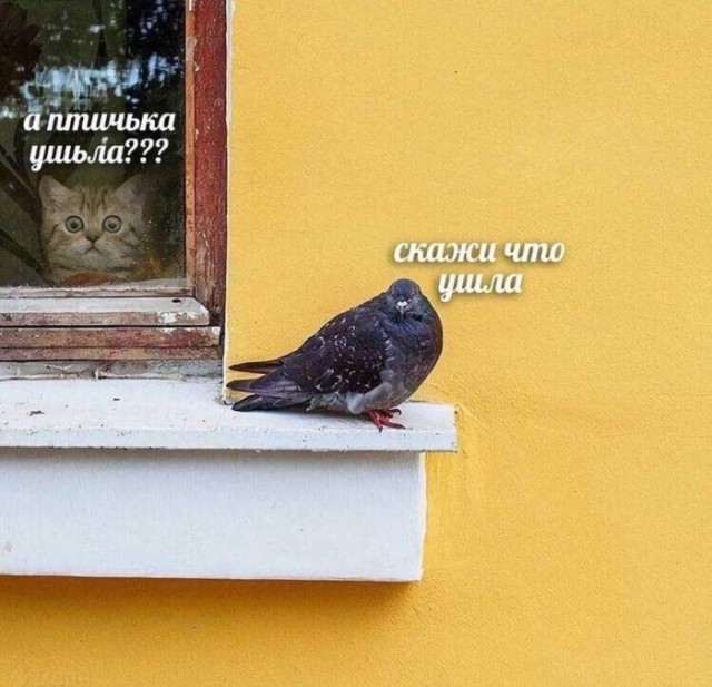 Завалялось тут случайно немного забавных картинок
