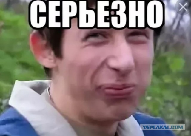 Количество мигрантов не сдавших экзамены по знанию русского языка и истории выросло в 10 раз.