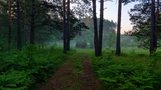 Фоточку сделал сейчас