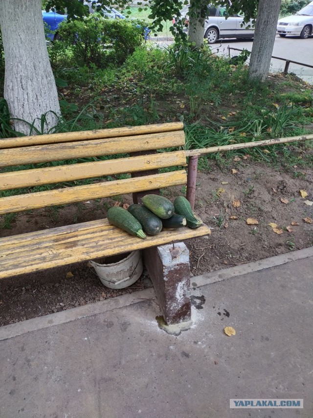 И опять про них