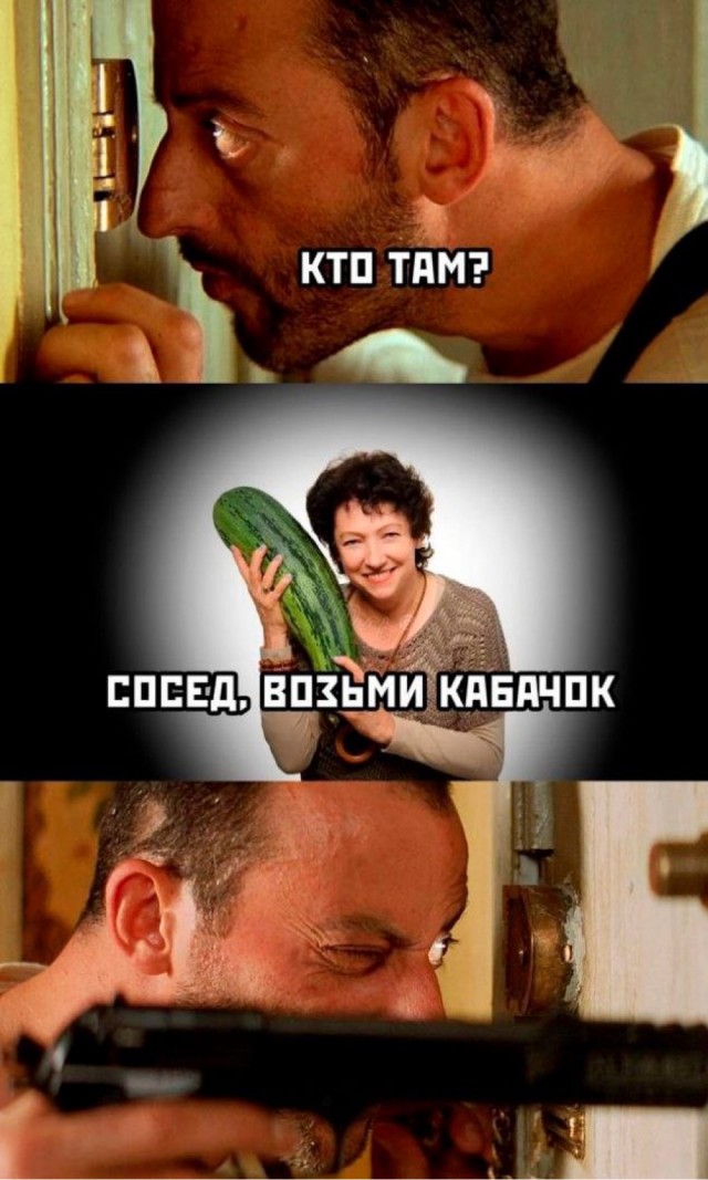 Немного забавных картинок от 22.08.2024