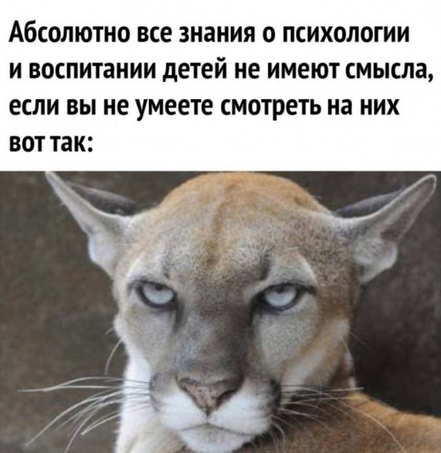 Кидаться песком это весело же