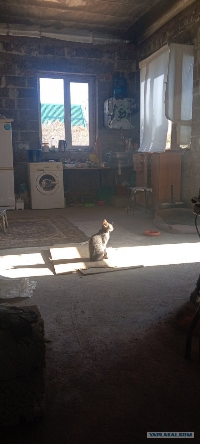 Фотка из жизни