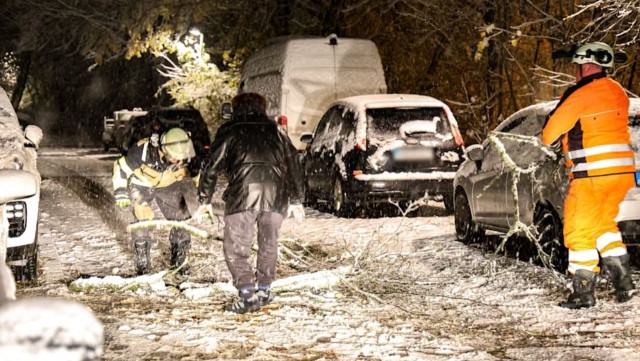В Германии вдруг внезапно выпал первый снег. Это привело к многочисленным авариям и задержкам рейсов