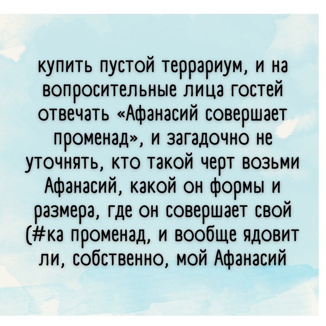 Так себе картинки 02.12.24