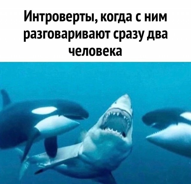 Крепость сдается?