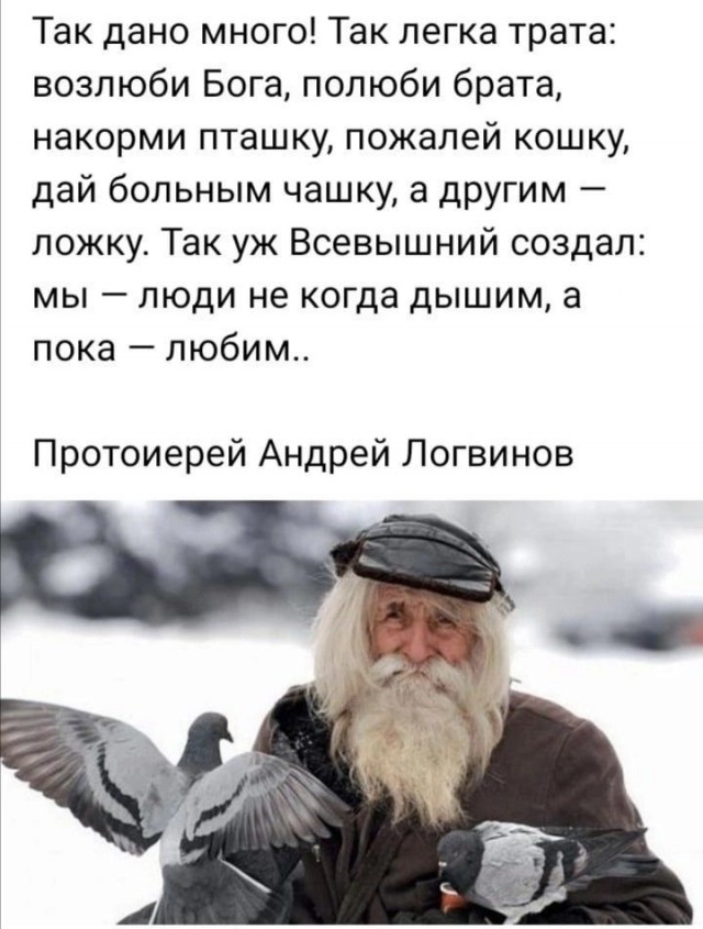 Прикольные и просто красивые картинки 07.02.2025