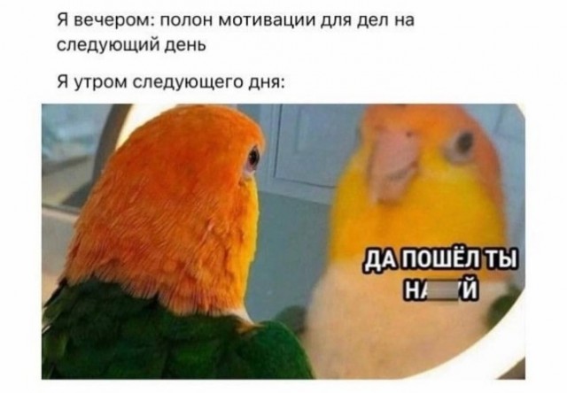 From the archives. Часть первая.