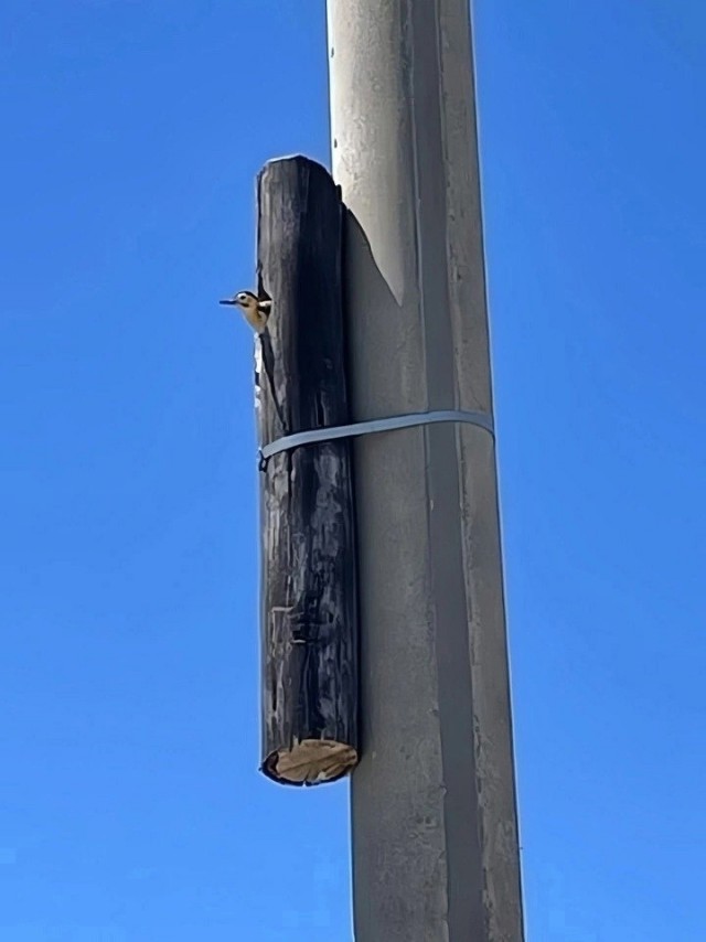 Вам всё равно никто не поверит: 30 фото удивительных случаев от пользователей Сети