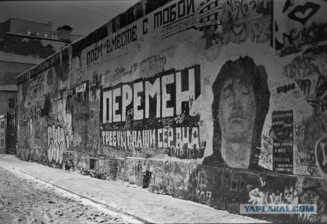 Стену вернули. Дуров, учись!