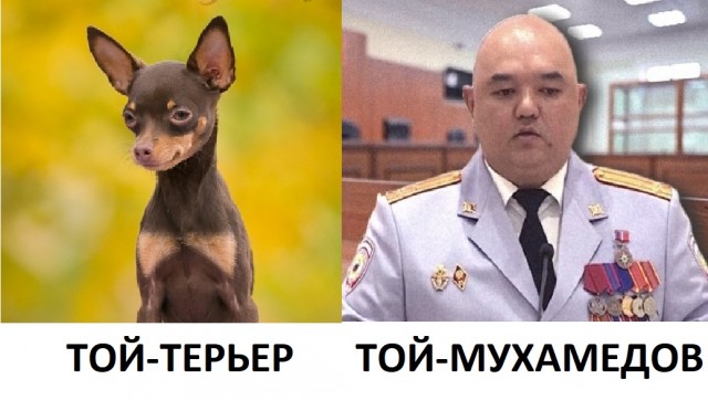 Суд Ставрополя отправил в СИЗО замначальника волгоградской полиции Тоймухамедова