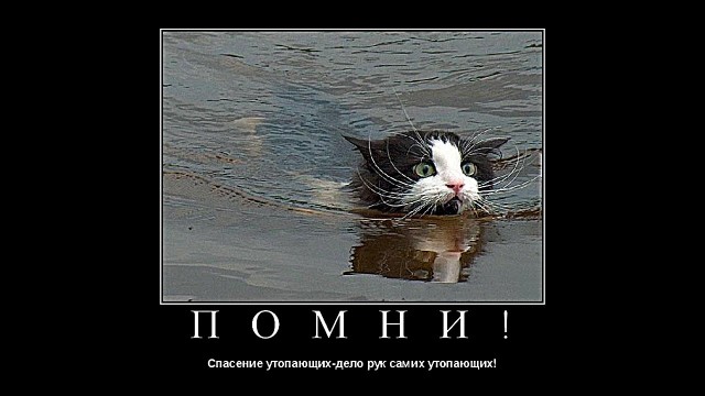 Мужчина без жены, как рыба без велосипеда