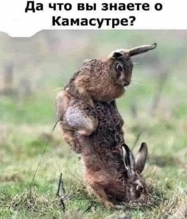20170763.jpg