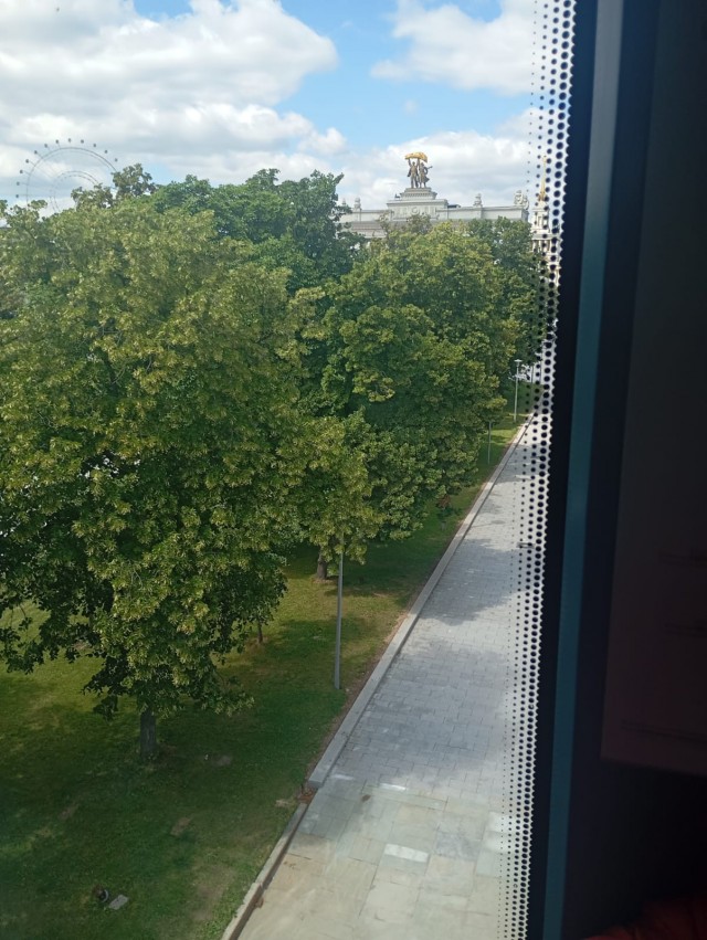 Прощальная поездка.