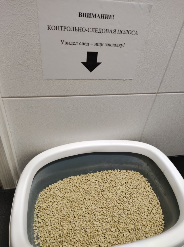 К котовторнику