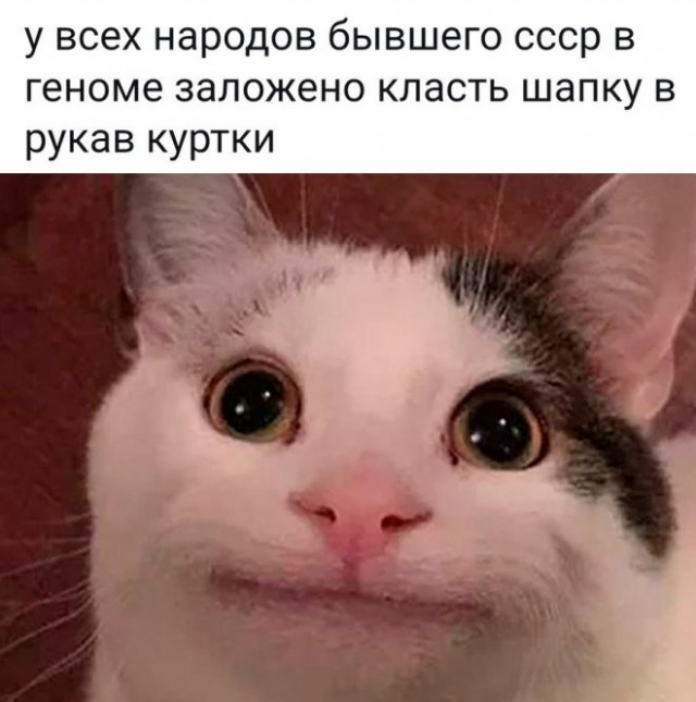 Веселые картинки в понедельник (27.10)