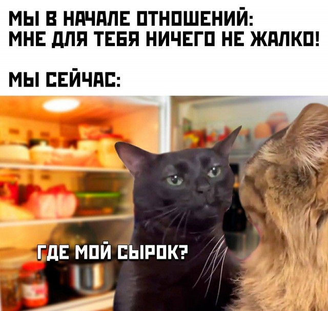 Так себе картинки 04.11.25