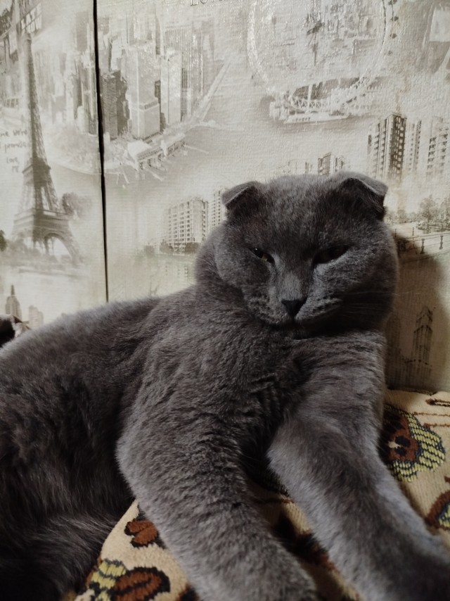 Тихон