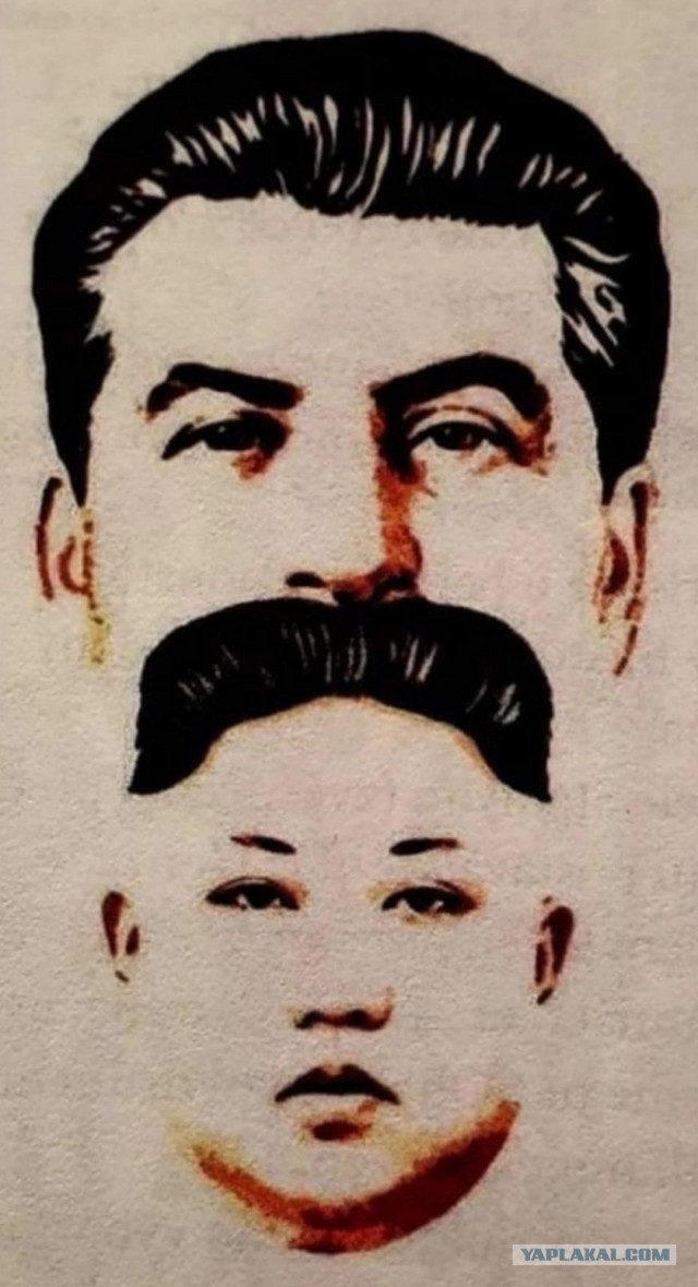 Веселые картинки _)