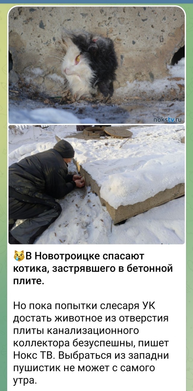 Скорбные вести в городском канале
