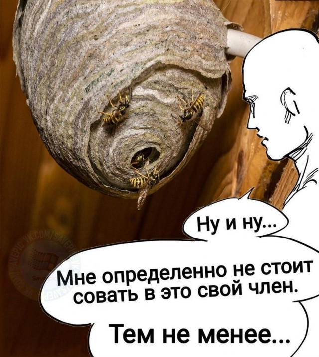 Деградация