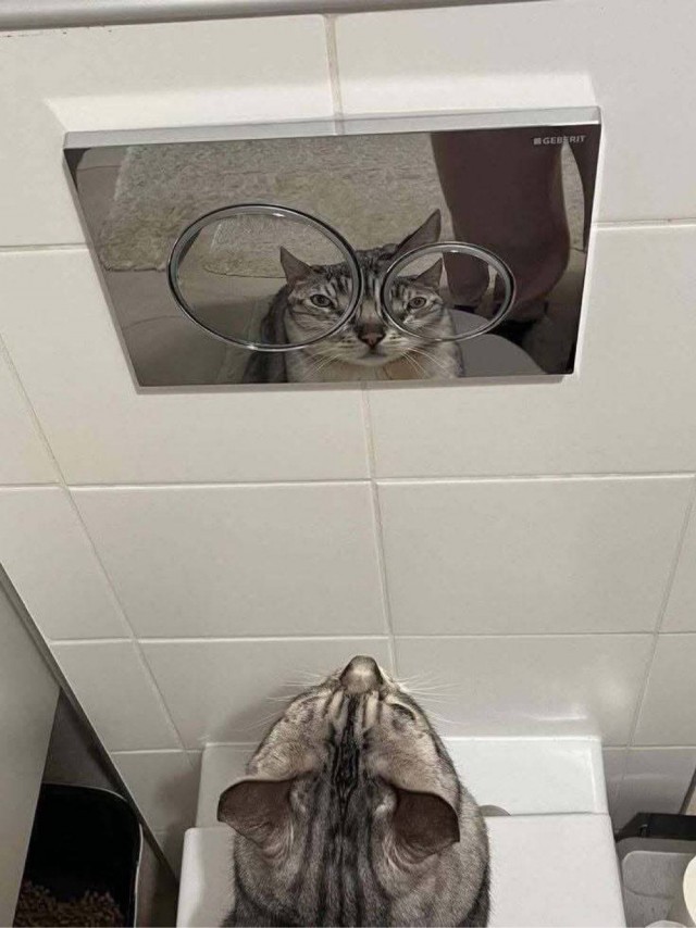 Среды картинки