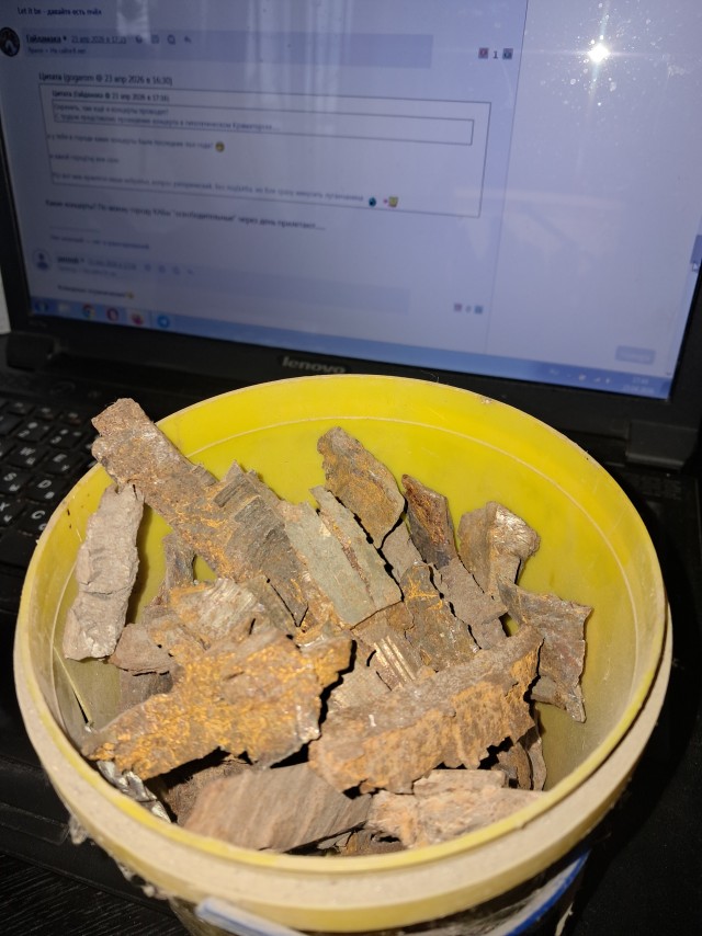 Певица Цыганова обвинила администрацию президента в отмене ее концерта в ЛНР