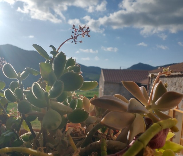 Мужчине не нужен брак