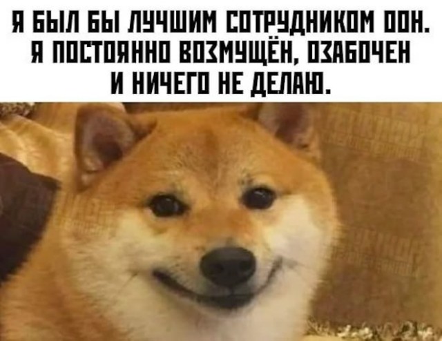 Картинки для деградации 204 (разной степени свежести)