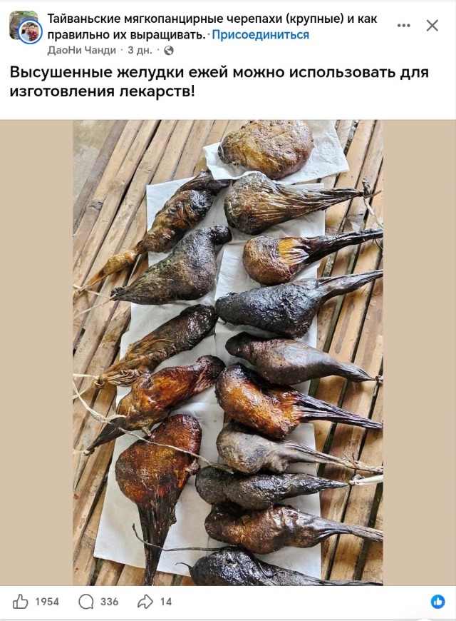Россиянин из Санкт-Петербурга поделился фотографиями всего того, что он привёз домой из Беларуси, а именно из Бреста