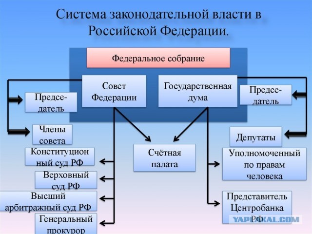 Россельхознадзор попросил россиян не приносить кур в МФЦ для регистраци.