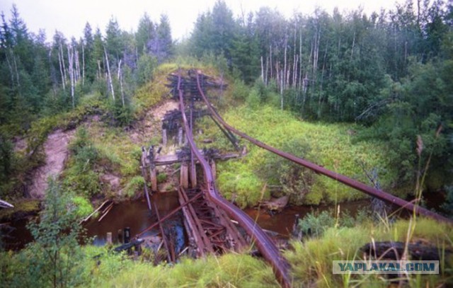 Победители фотоконкурса