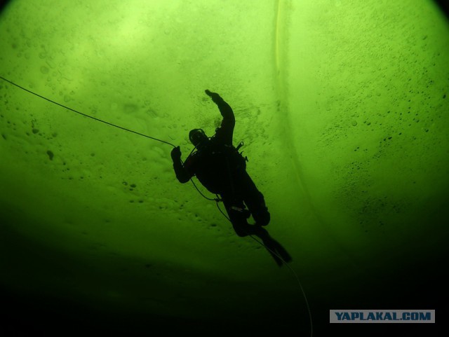 Марианская впадина